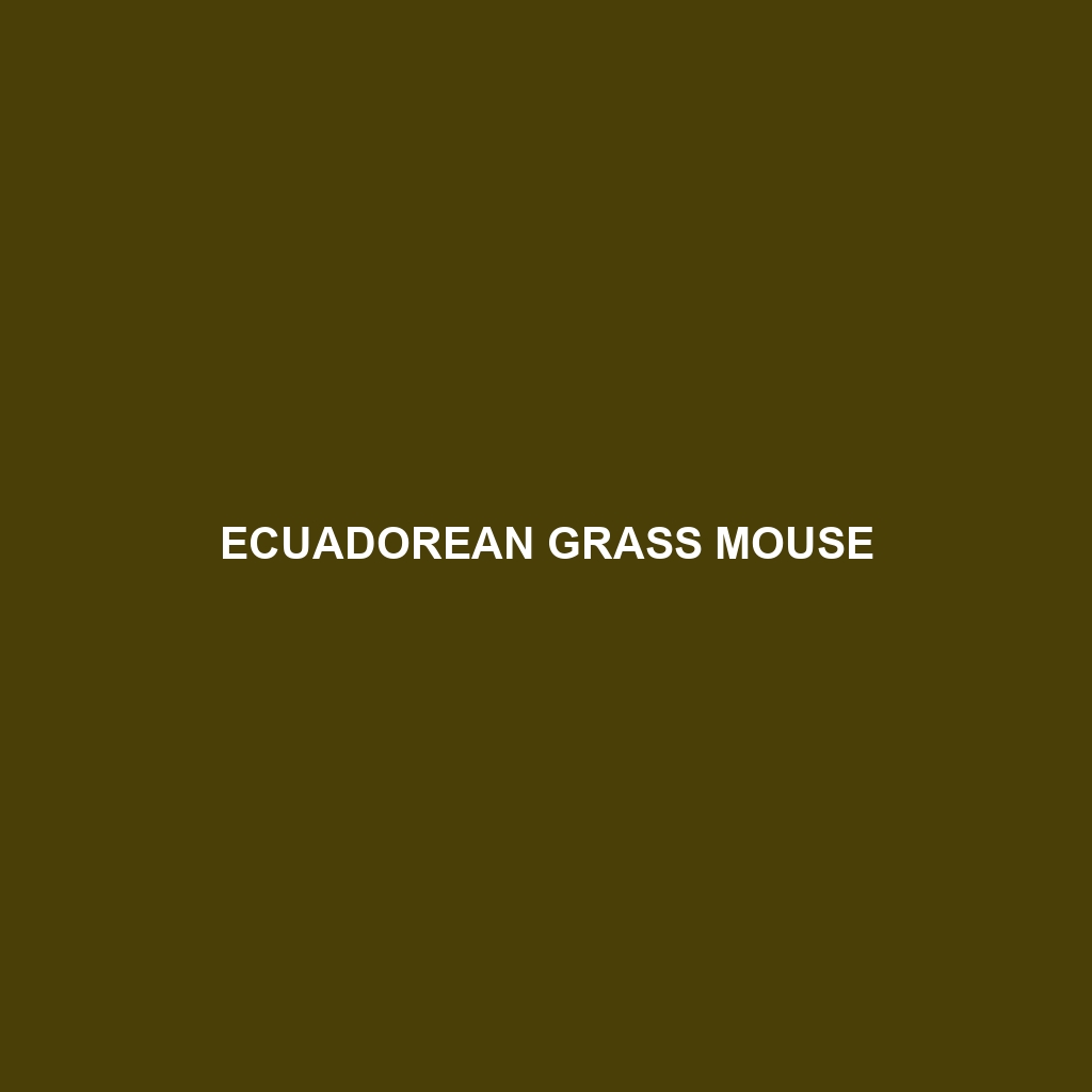 Ecuadorean Grass Mouse