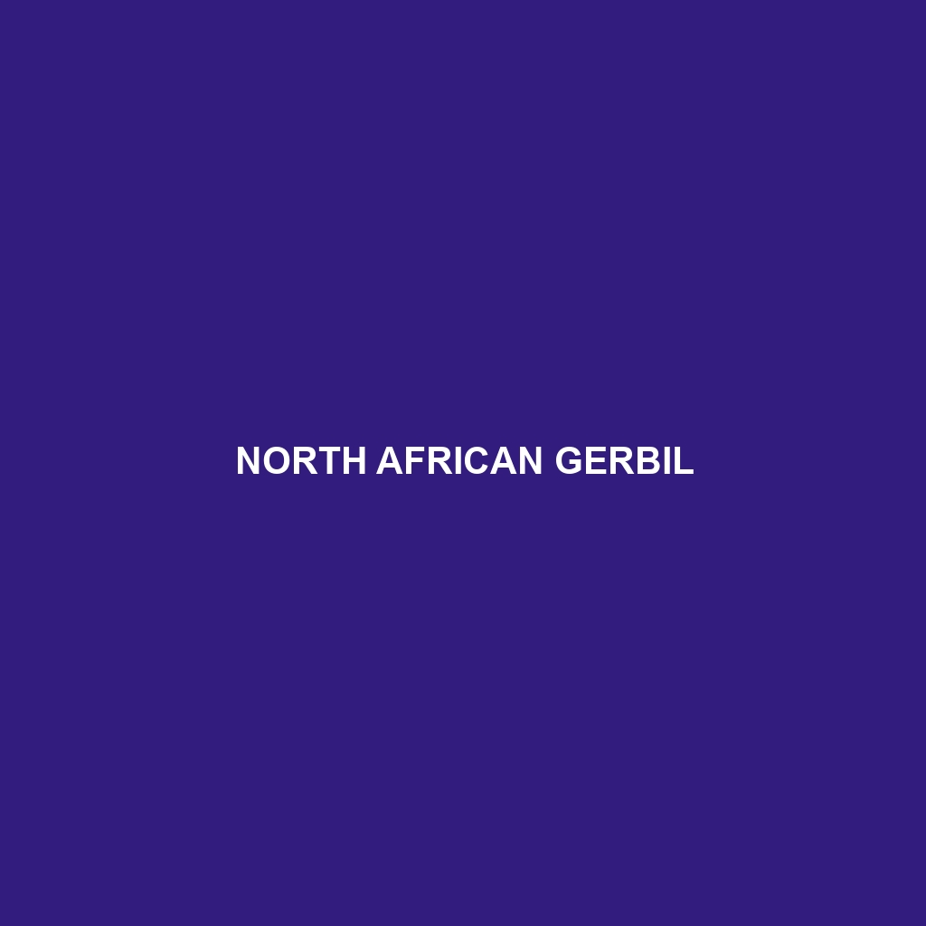 North African Gerbil