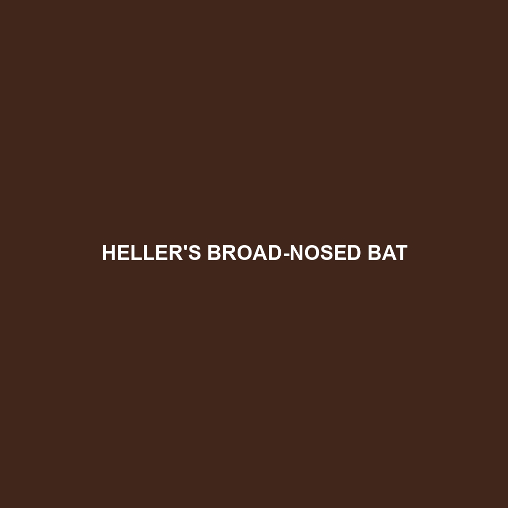 Heller's Broad-nosed Bat