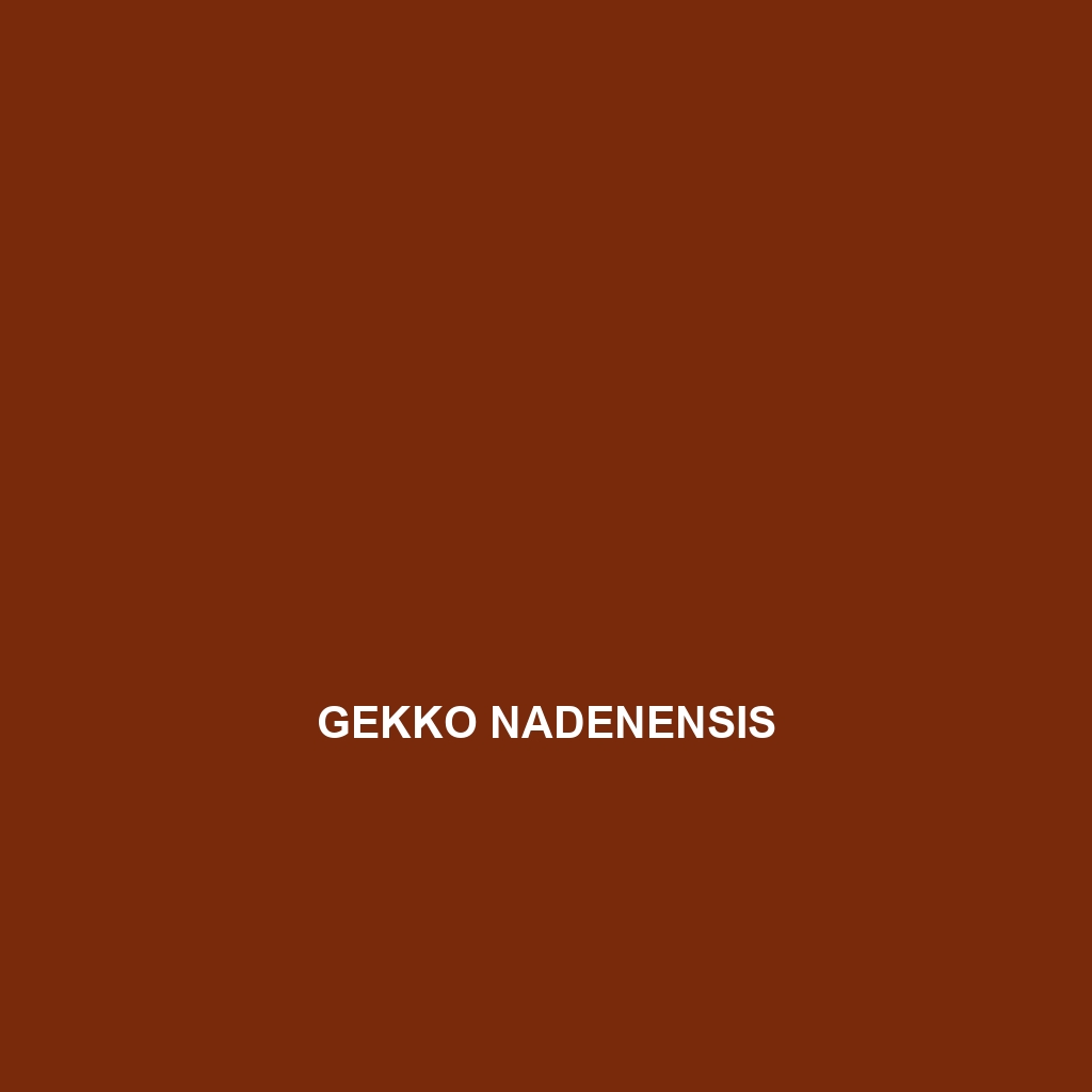 Gekko nadenensis