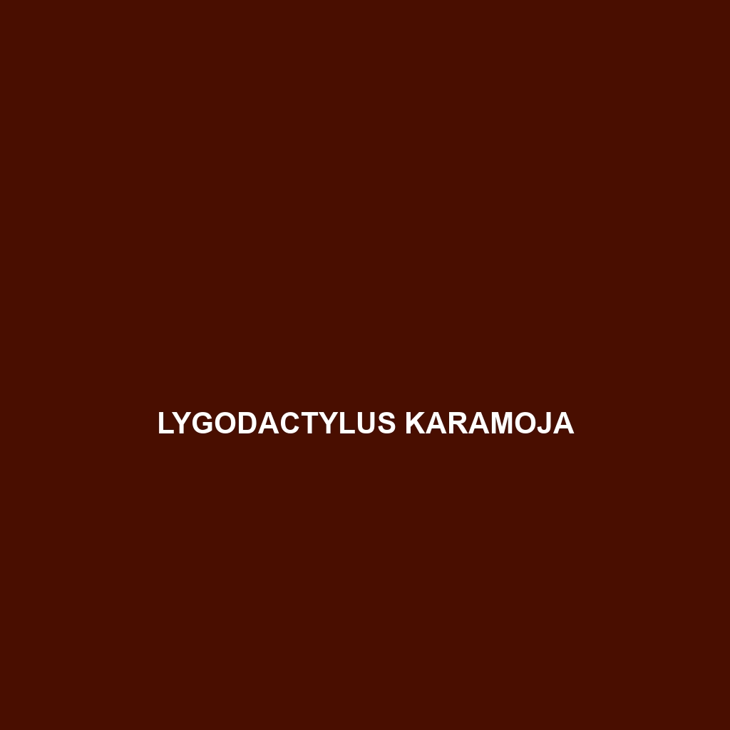 Lygodactylus karamoja