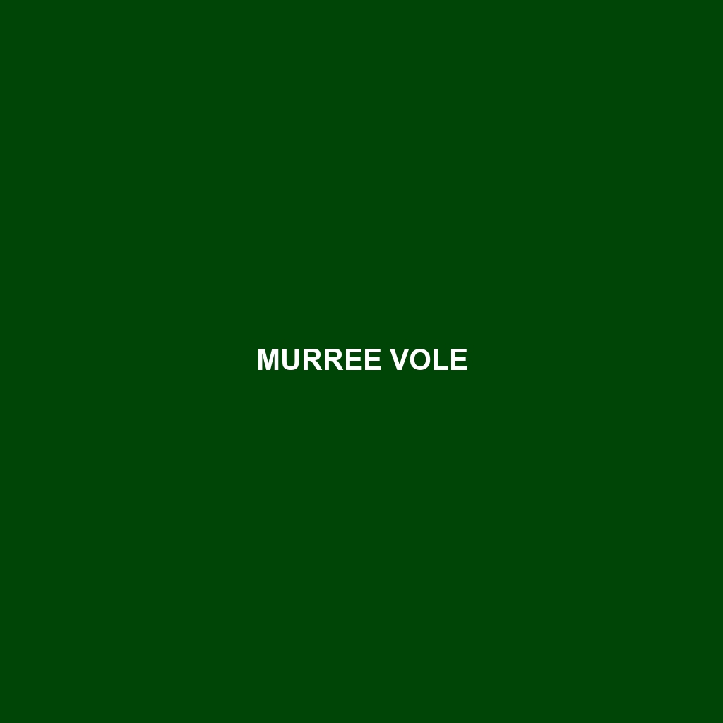 Murree Vole