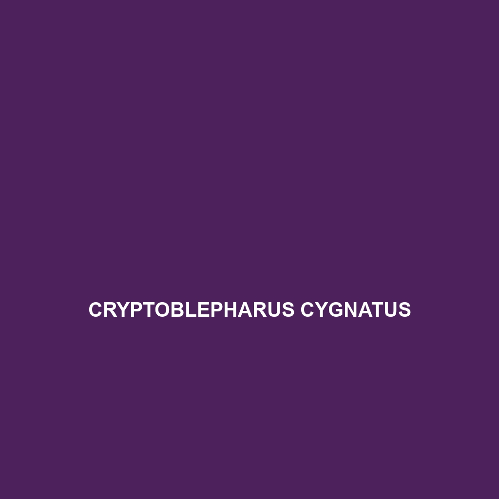 Cryptoblepharus cursor