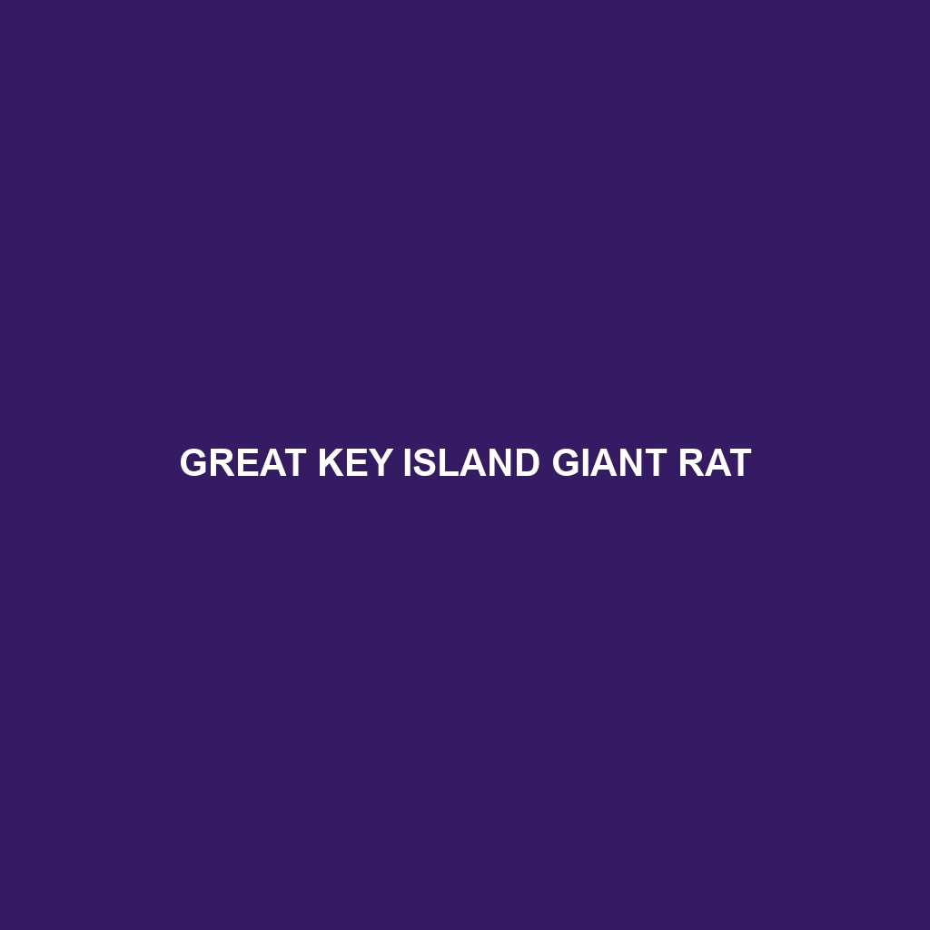 Great Key Island Giant Rat