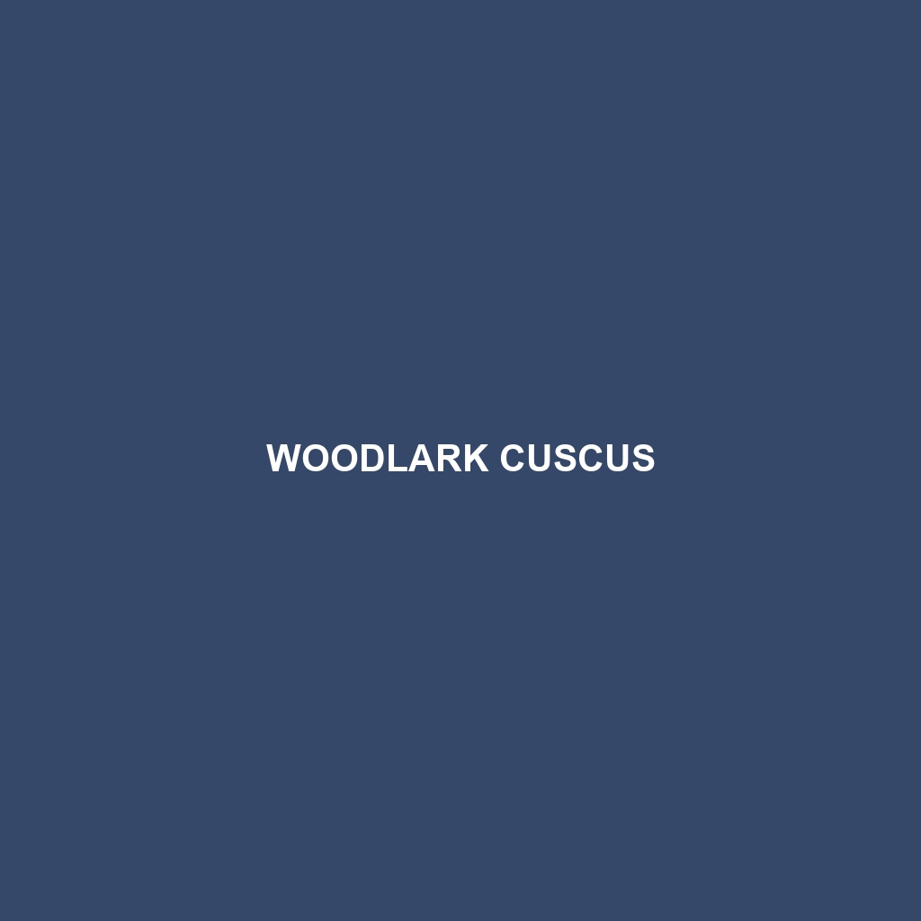 Woodlark Cuscus