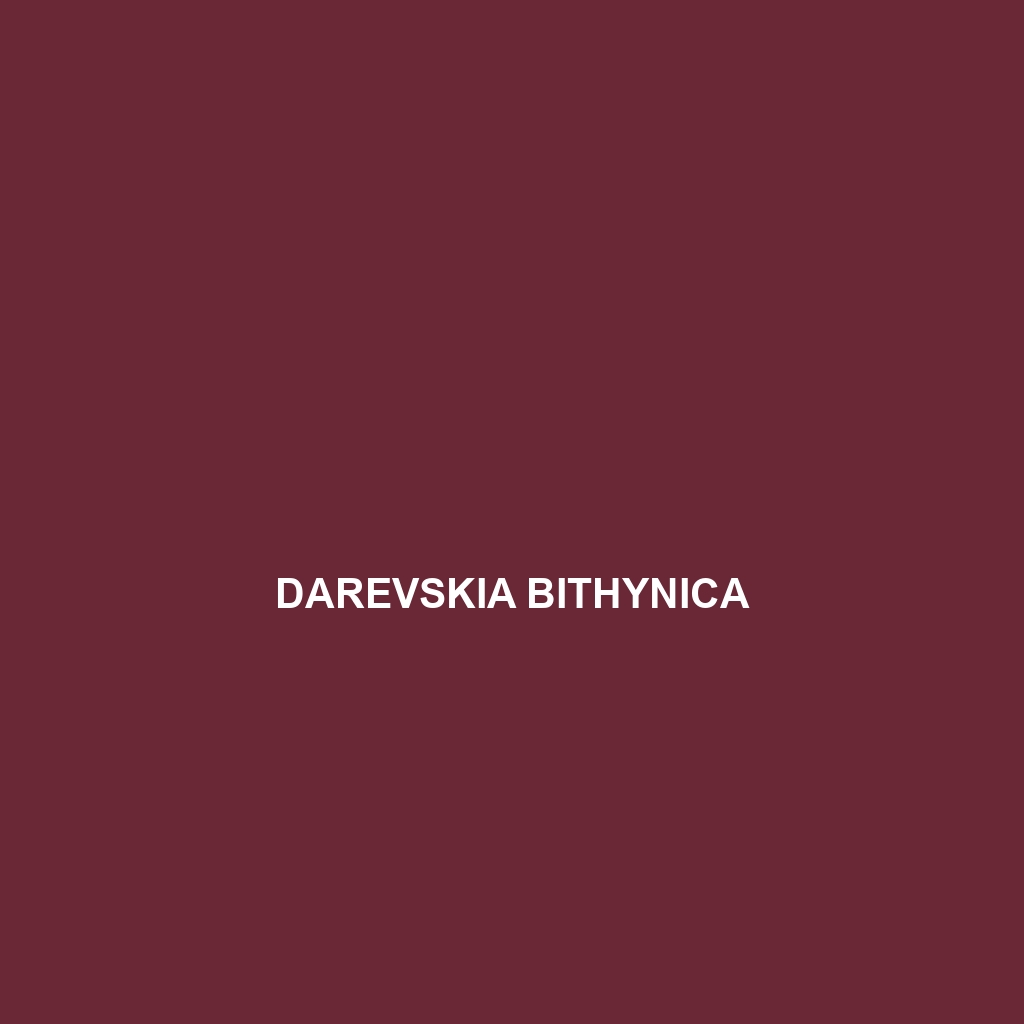 Darevskia bithynica