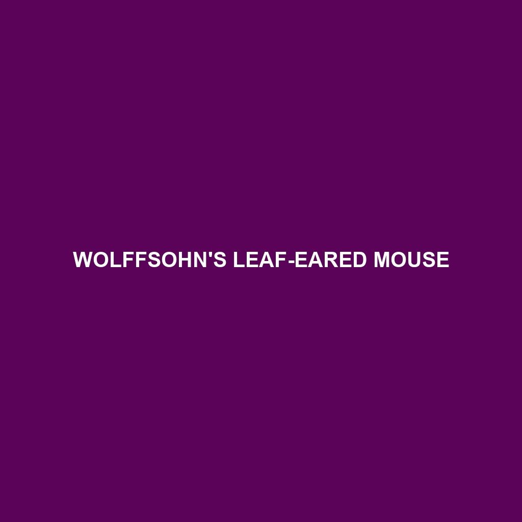 Wolffsohn's Leaf-eared Mouse