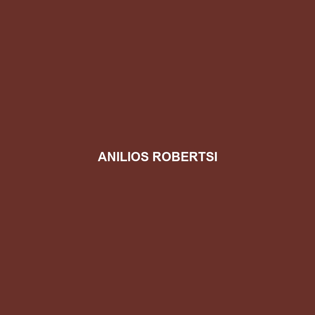 Anilios robertsi