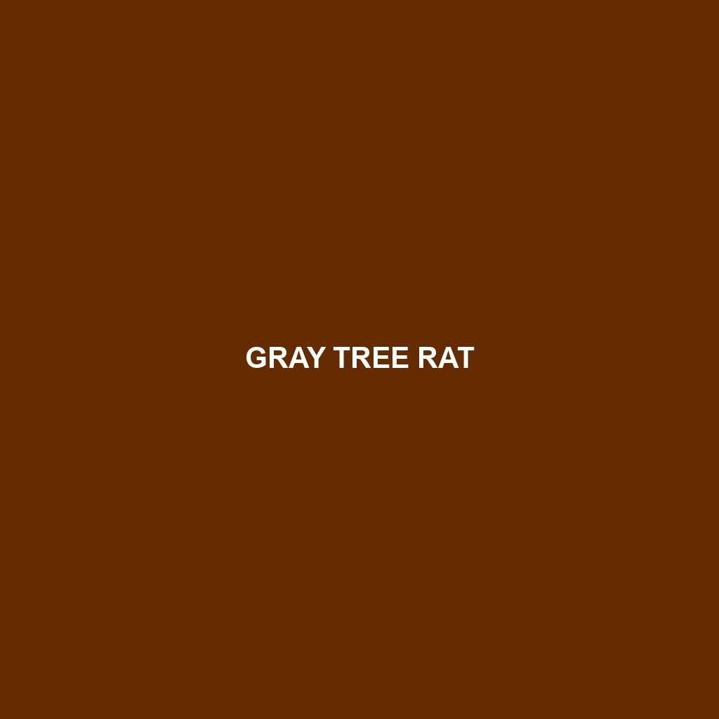 Gray Tree Rat