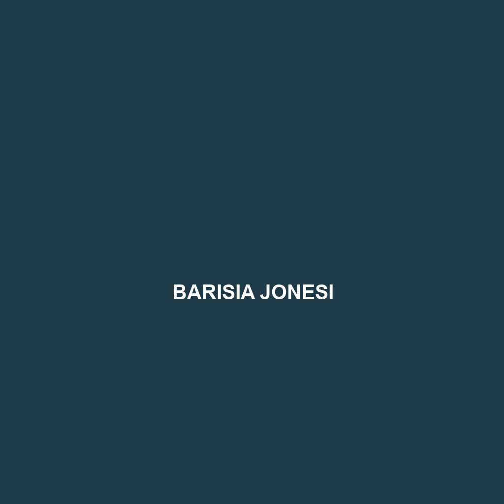 Barisia jonesi