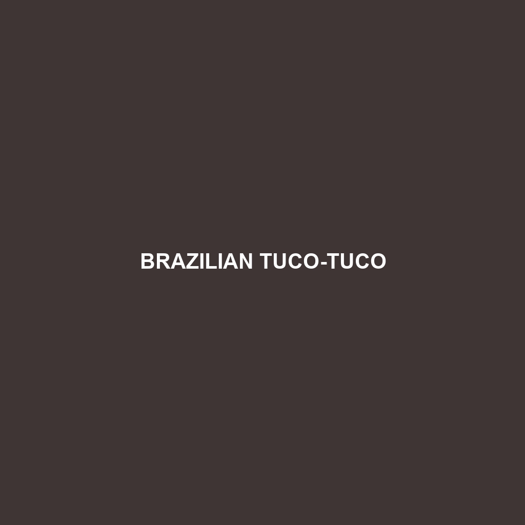 Brazilian Tuco-tuco