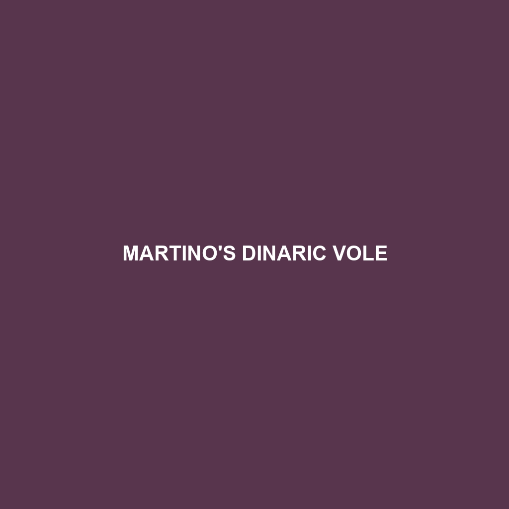 Martino's Dinaric Vole