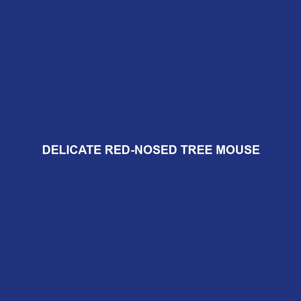 Delicate Red-nosed Tree Mouse