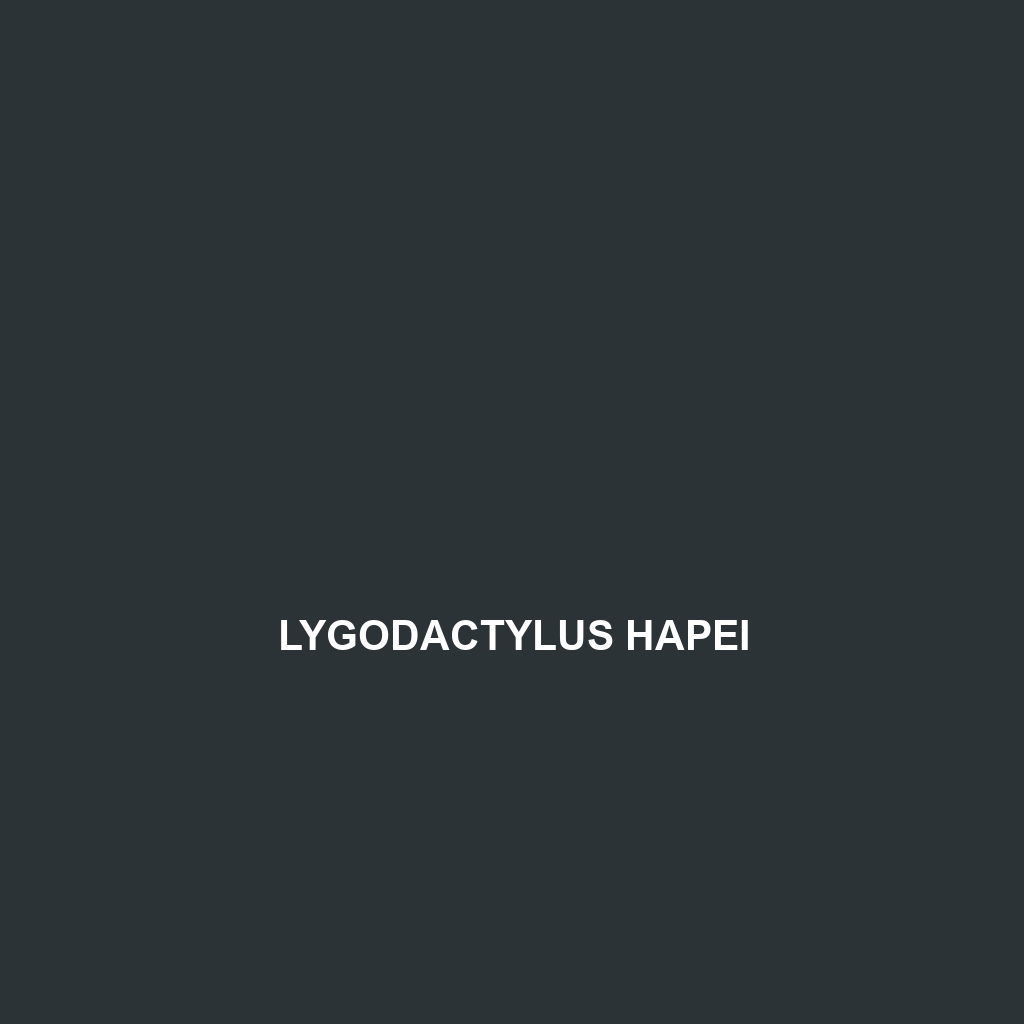 Lygodactylus hapei