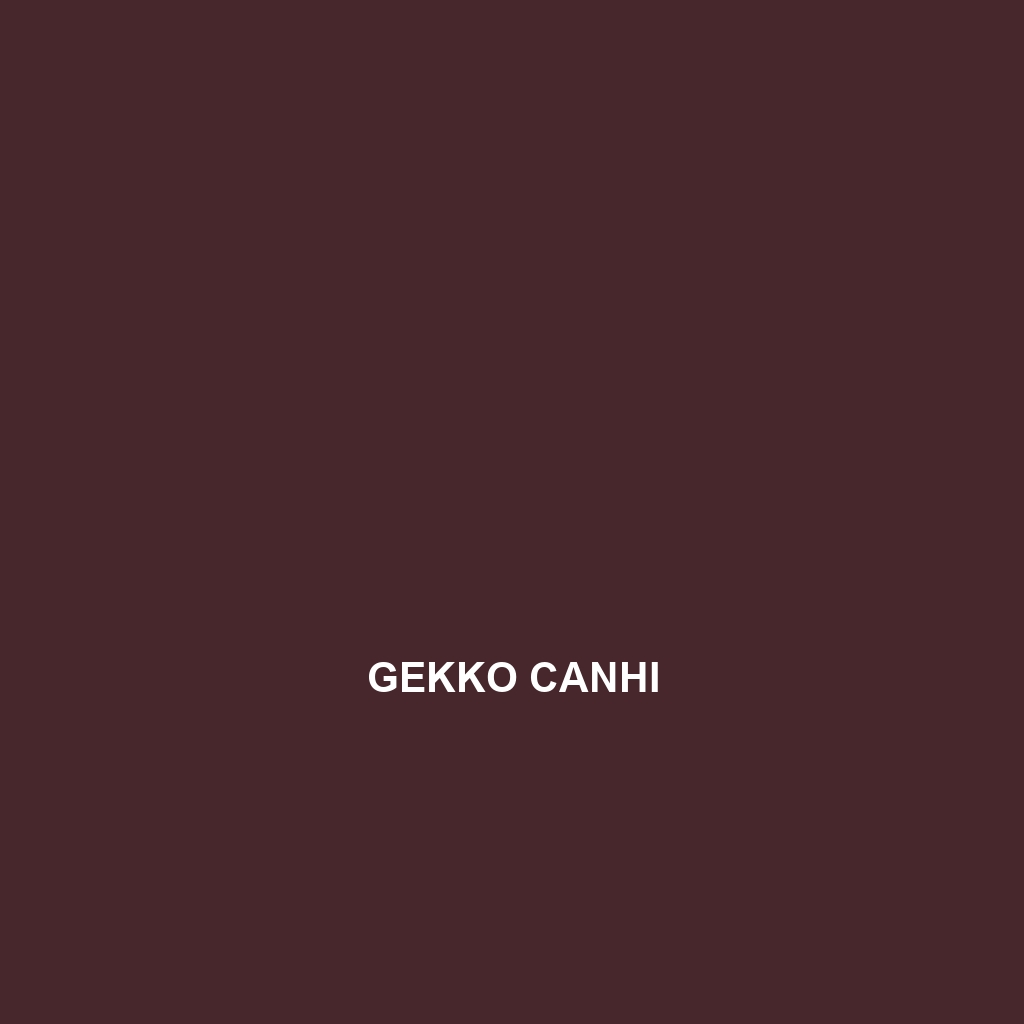 Gekko canaensis