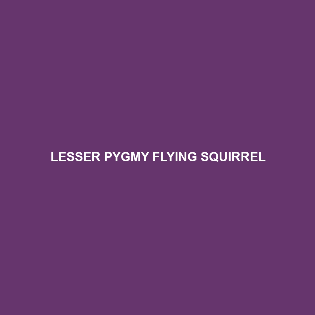 Lesser Pygmy Flying Squirrel