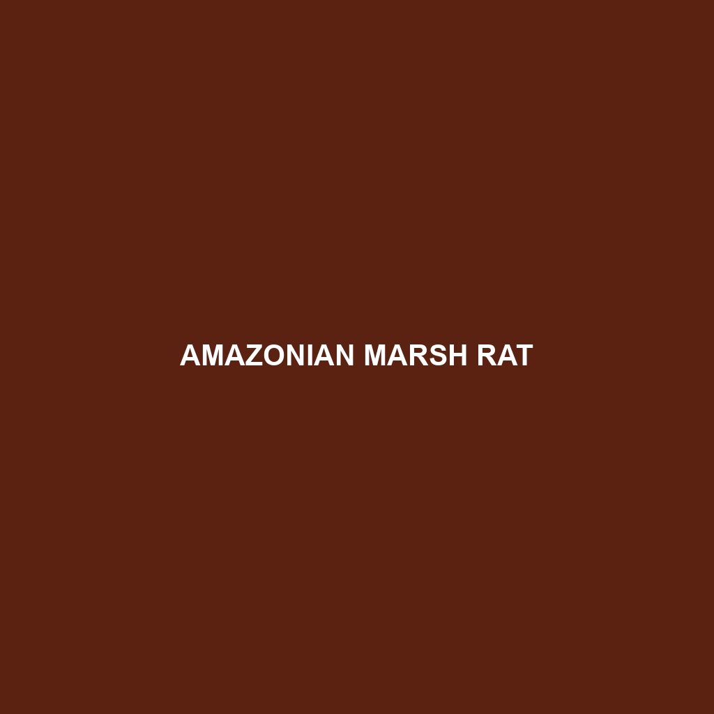 Amazonian Marsh Rat