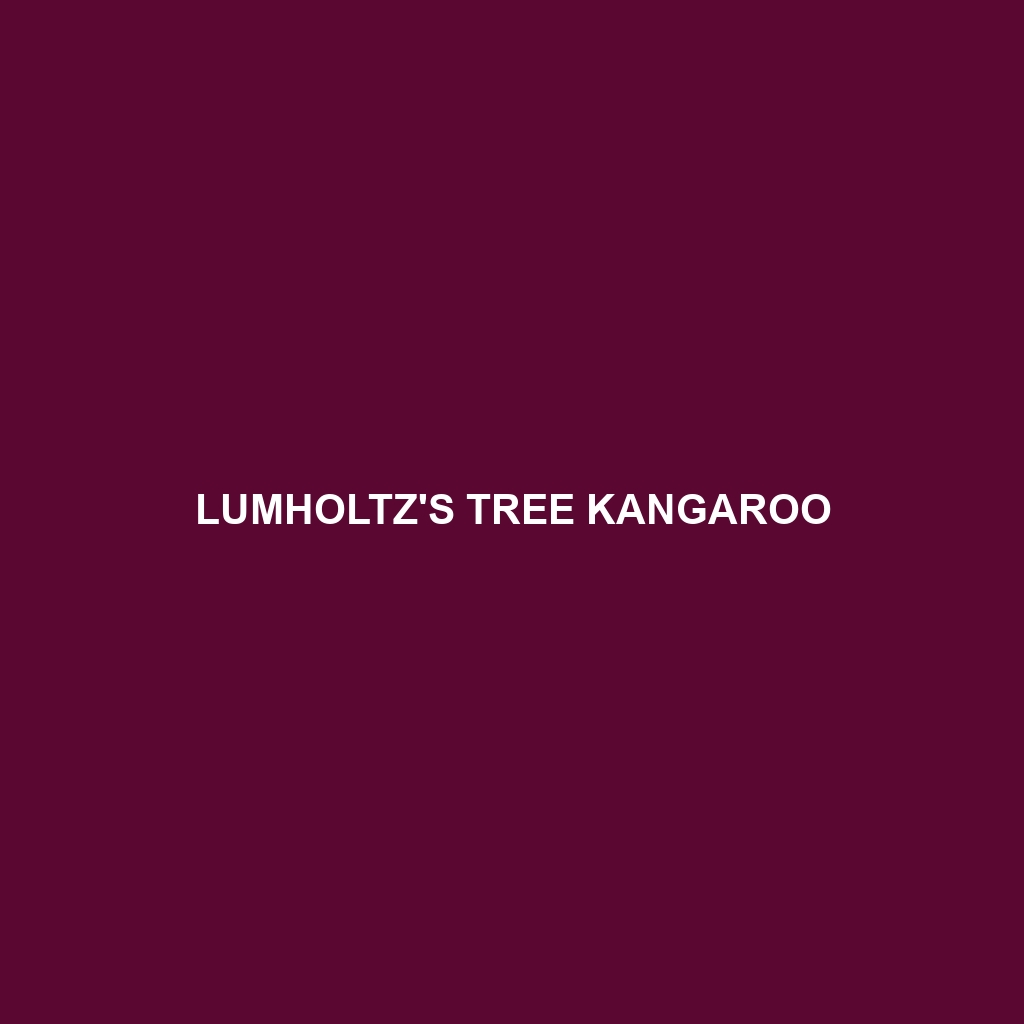 Lumholtz's Tree Kangaroo