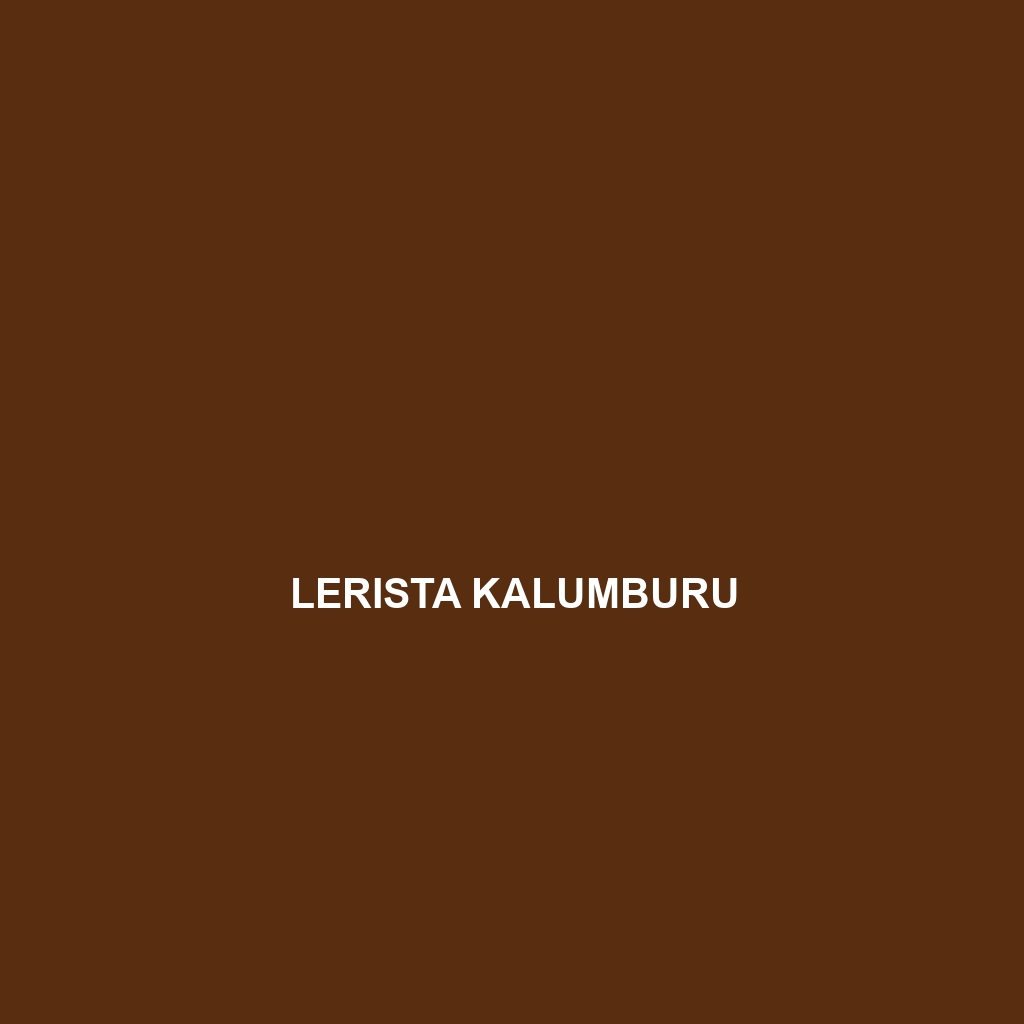 Lerista kalumburu