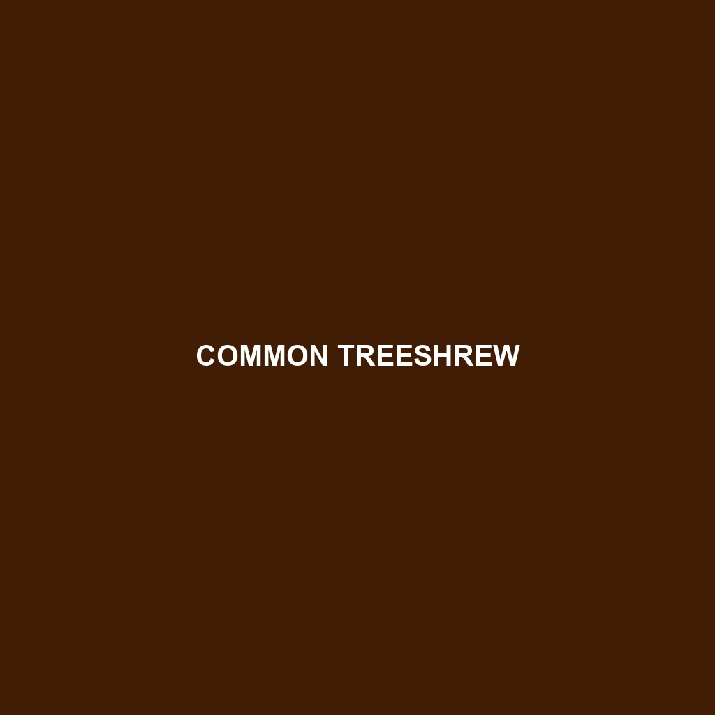 Common Treeshrew