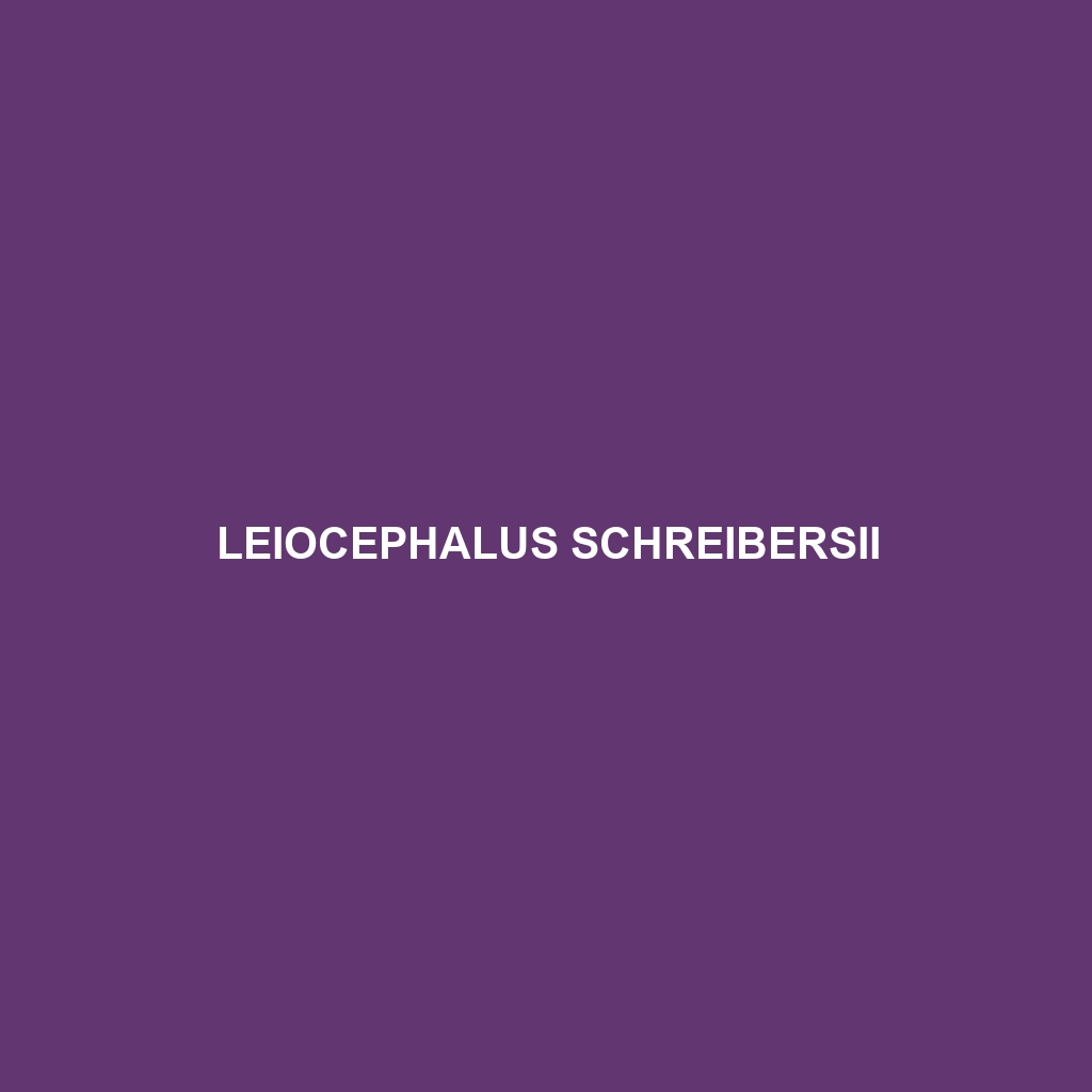 Leiocephalus schreibersii