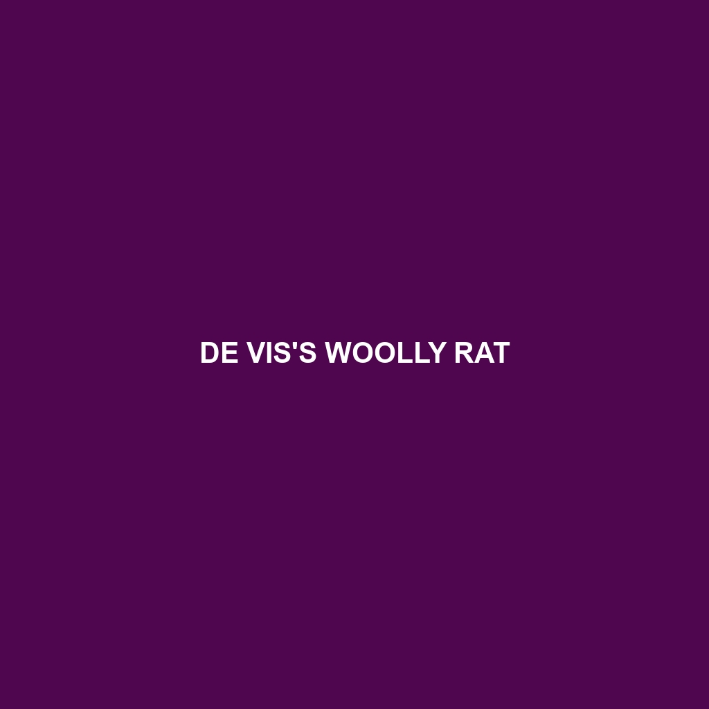 De Vis's Woolly Rat