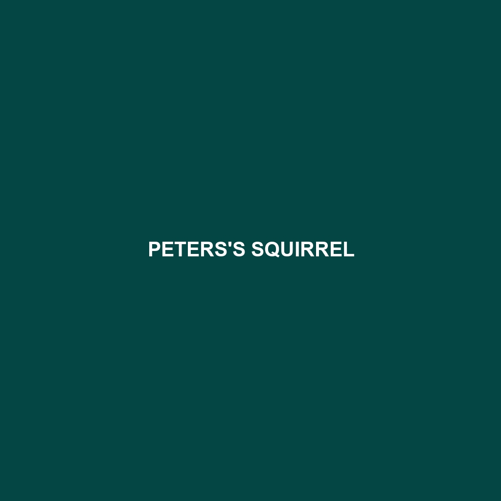 Peters's Squirrel