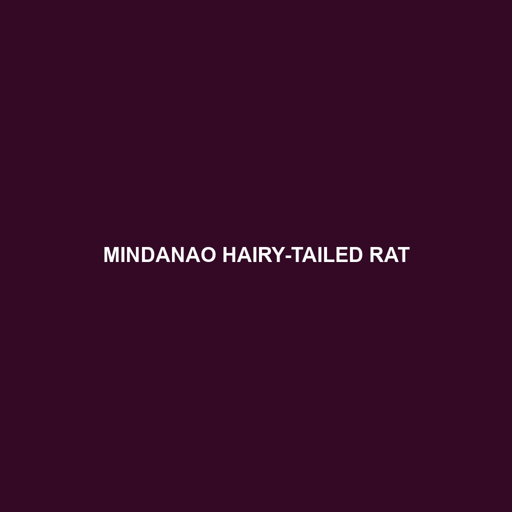 Mindanao Hairy-tailed Rat