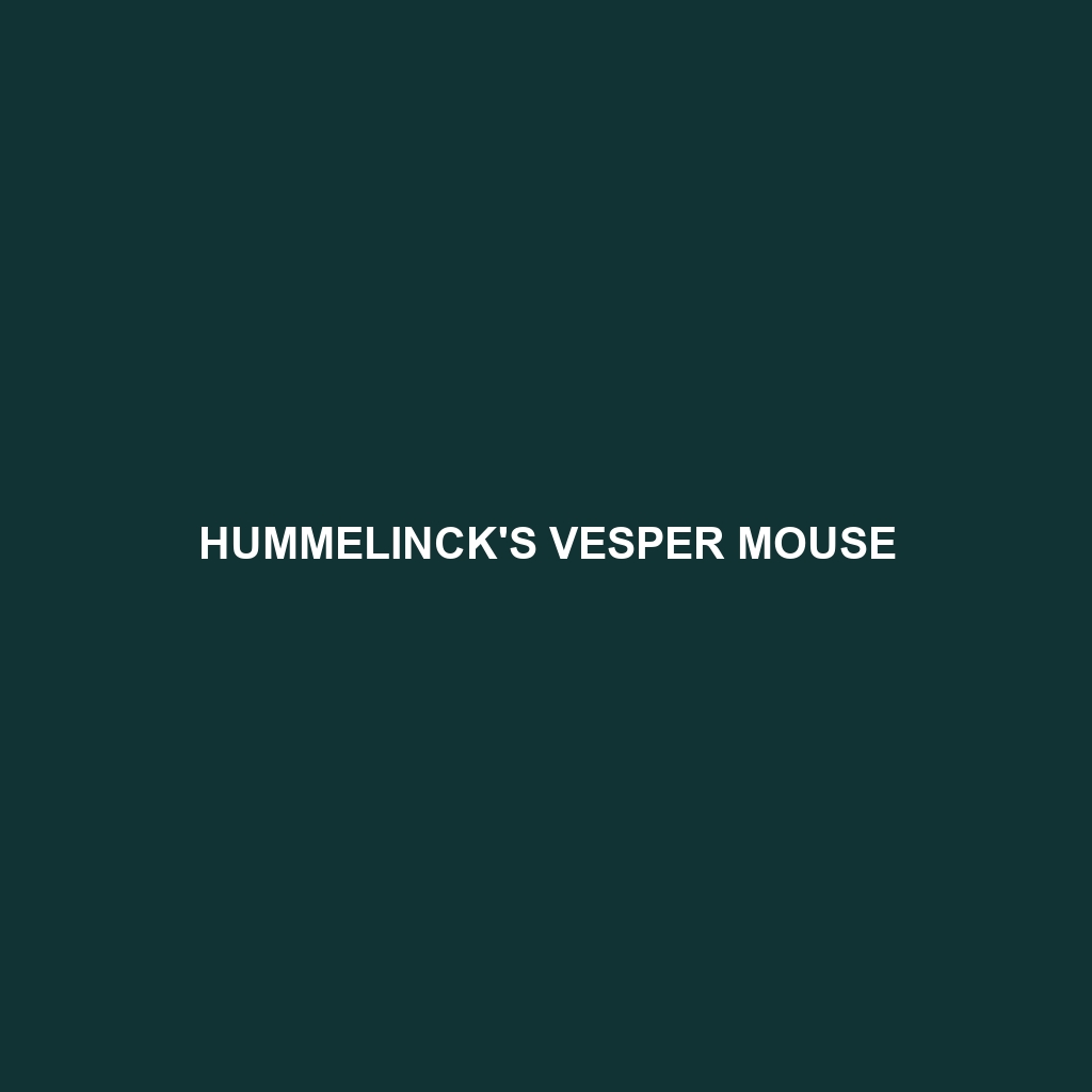 Hummelinck's Vesper Mouse