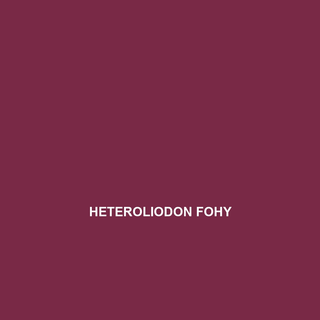 Heteroliodon fohy