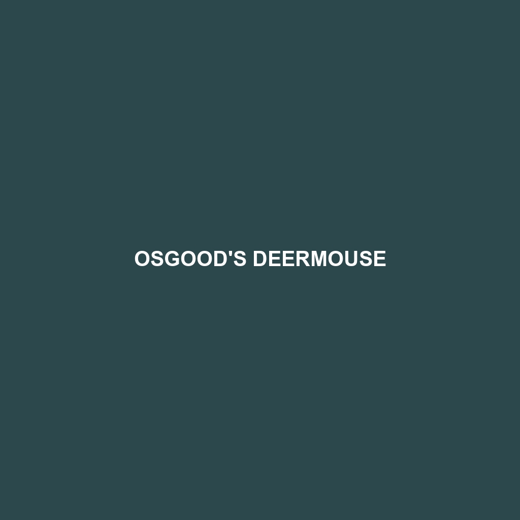 Osgood's Deermouse