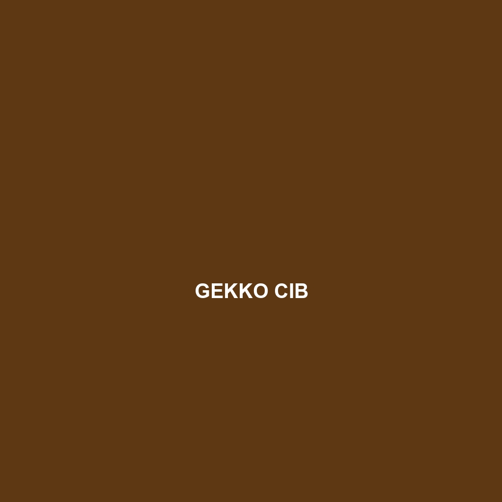 Gekko cib