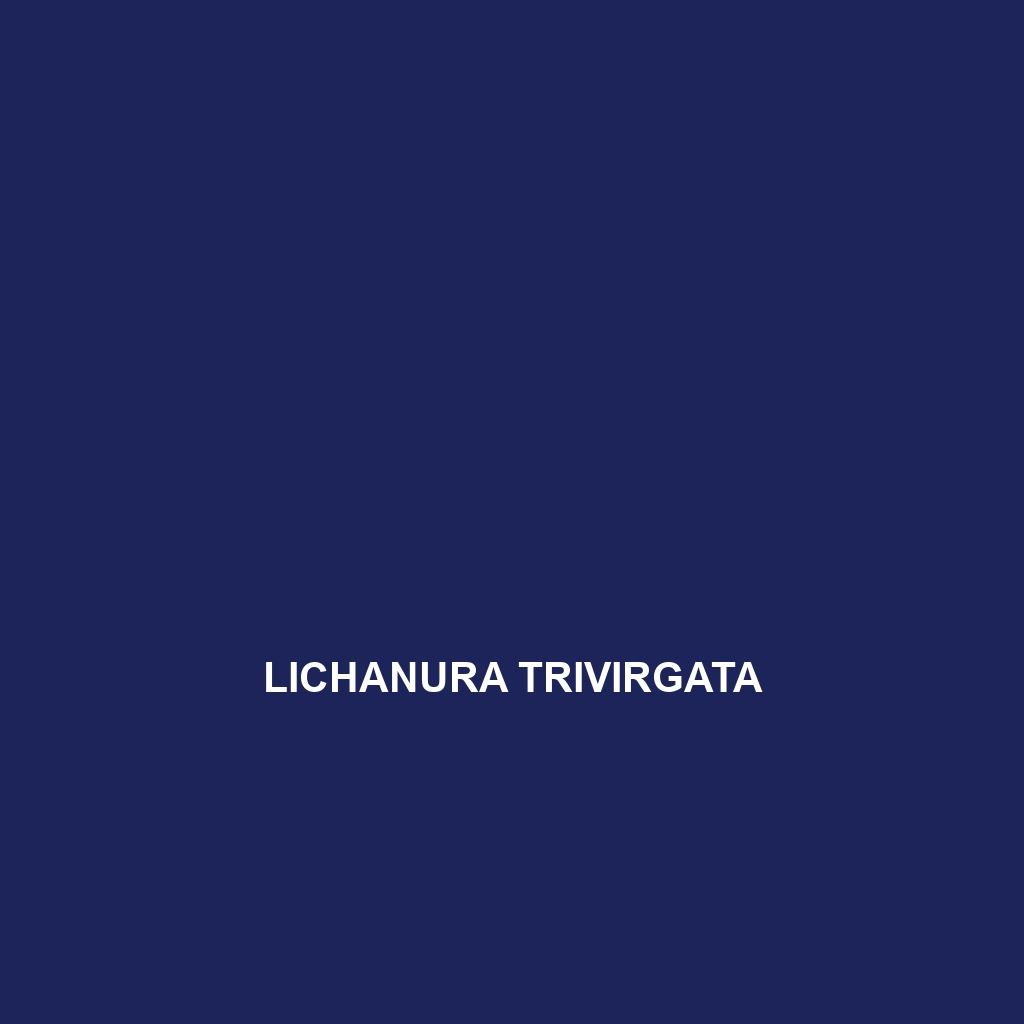 Lichanura trivirgata