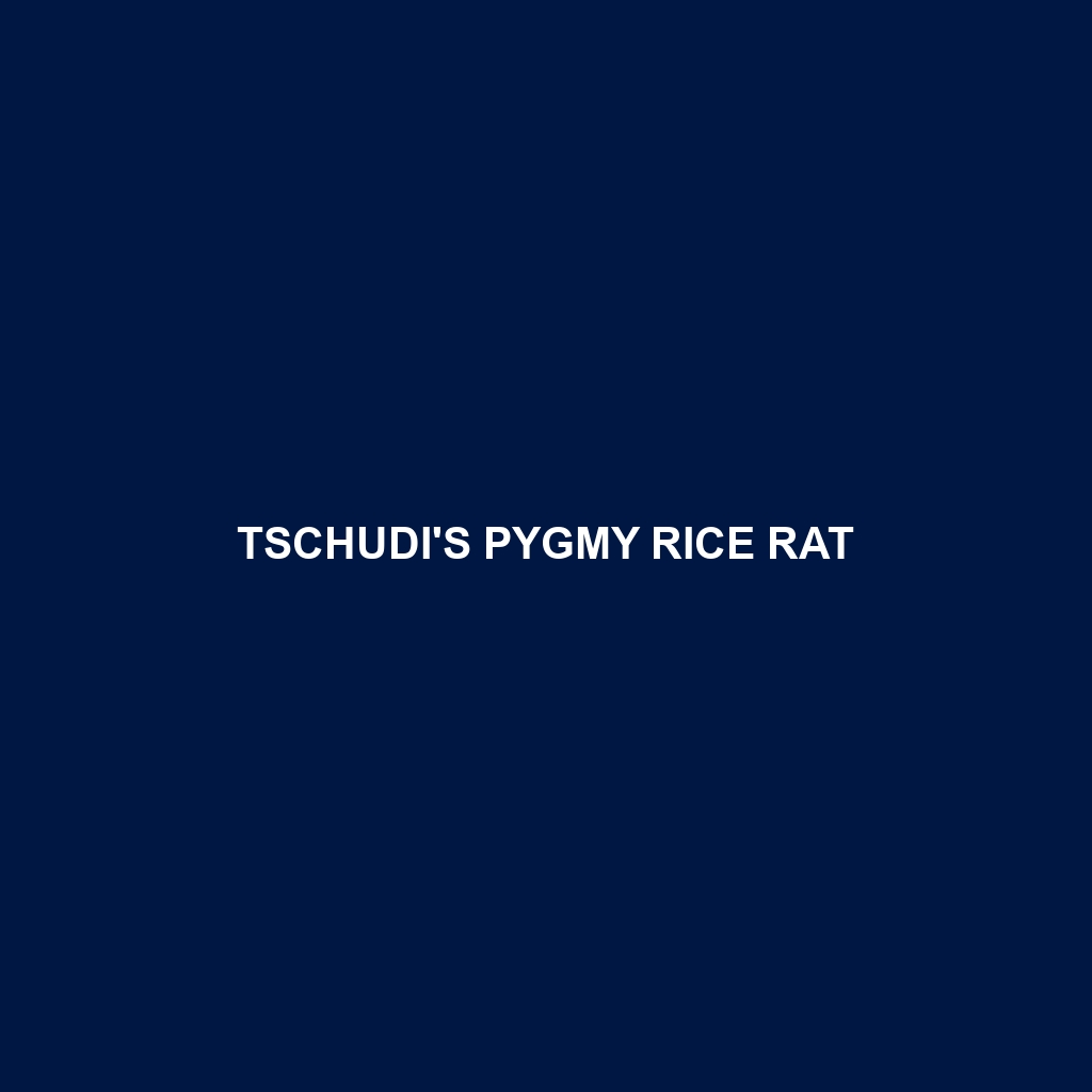 Tschudi's Pygmy Rice Rat