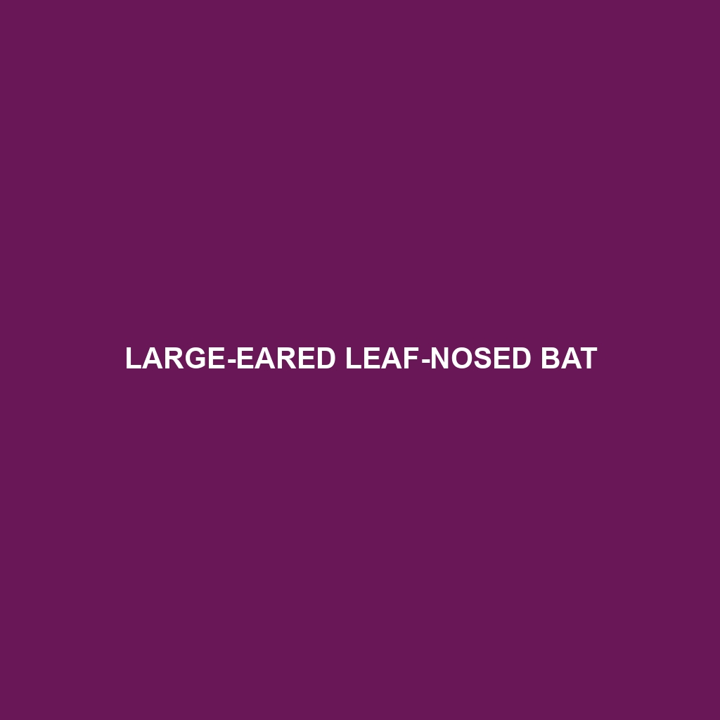 Large-eared Leaf-nosed Bat