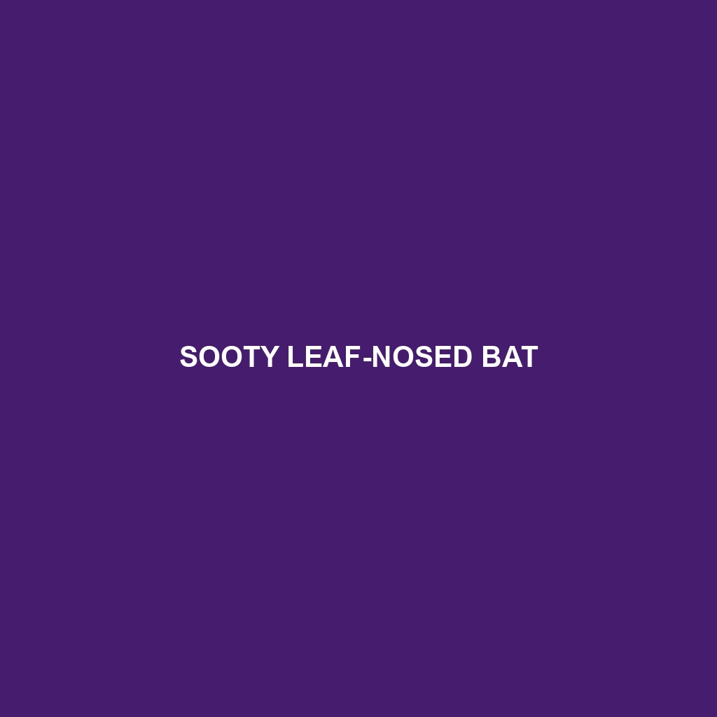 Sooty Leaf-nosed Bat