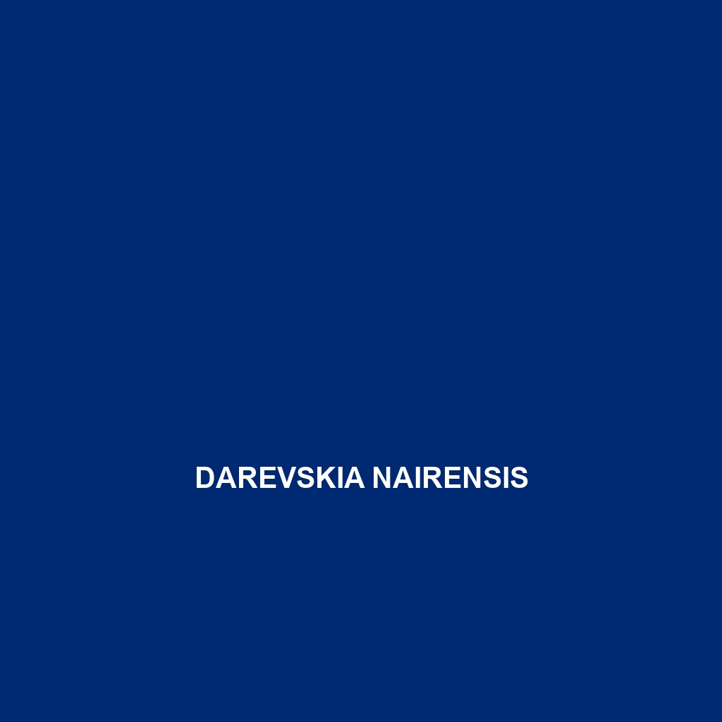 Darevskia nairensis