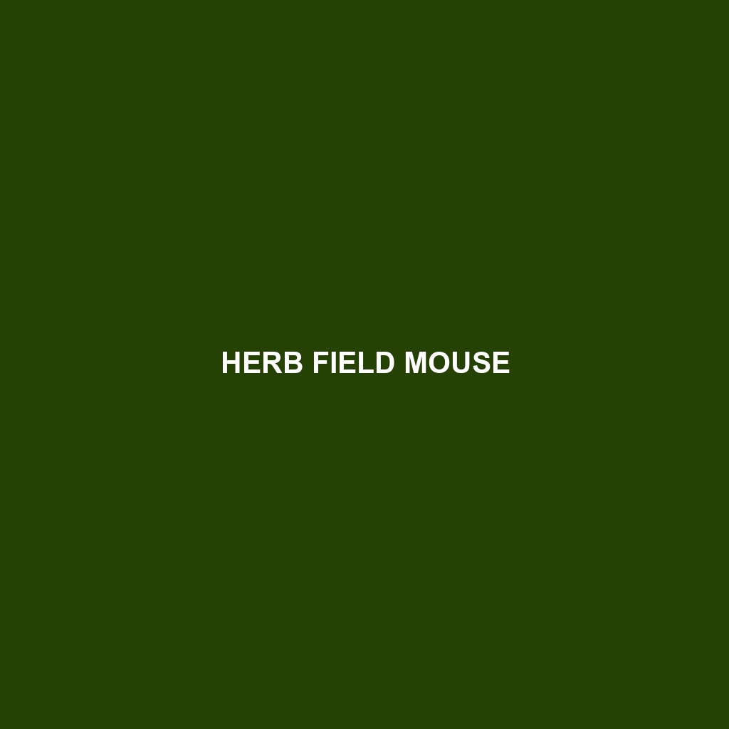 Herb Field Mouse