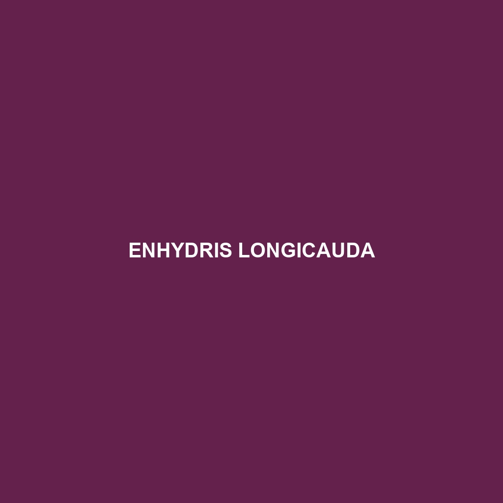 Enhydris longicauda