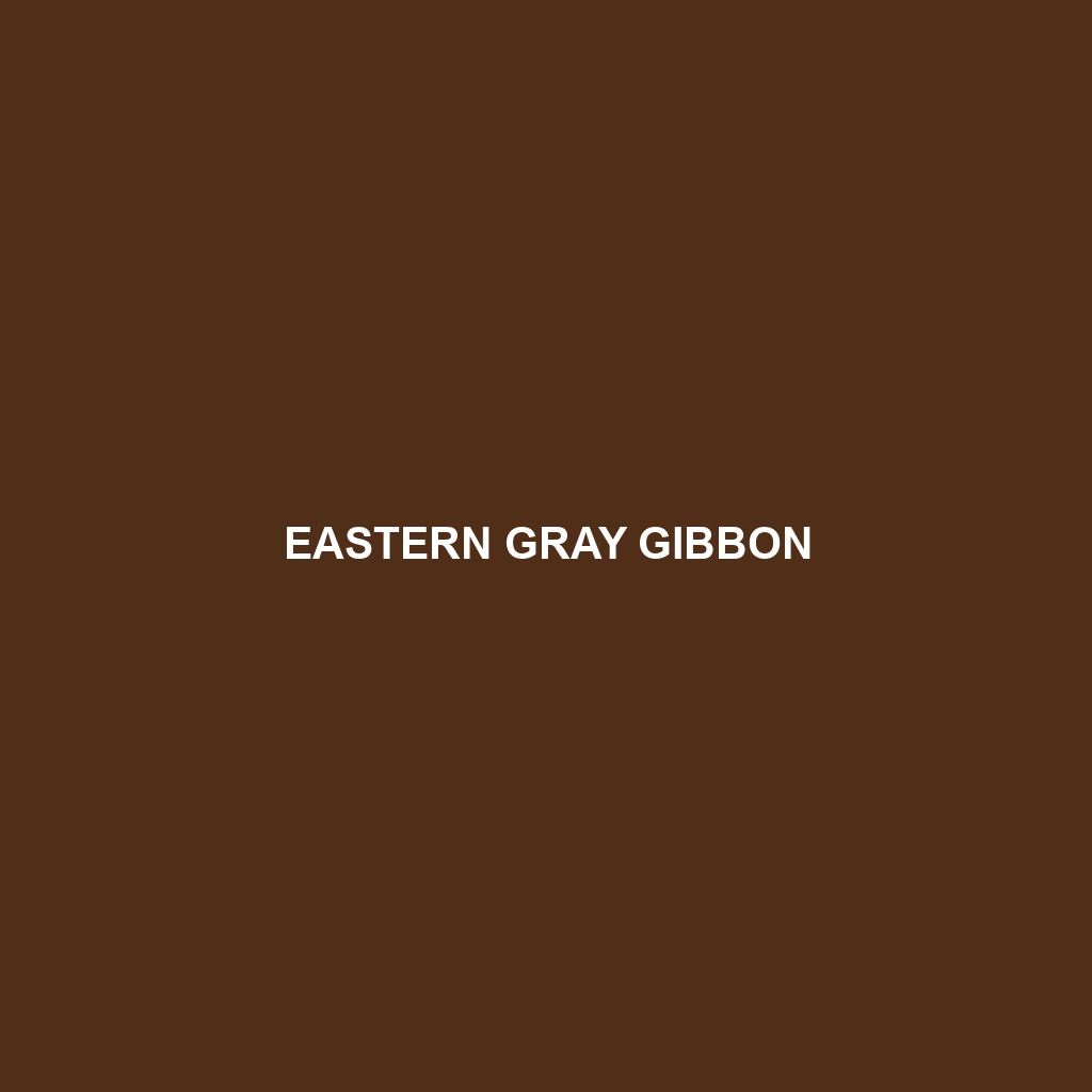 Eastern Gray Gibbon