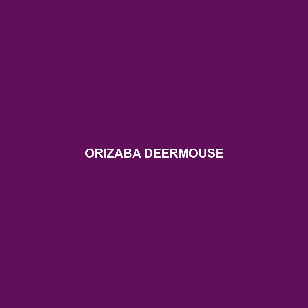 Orizaba Deermouse