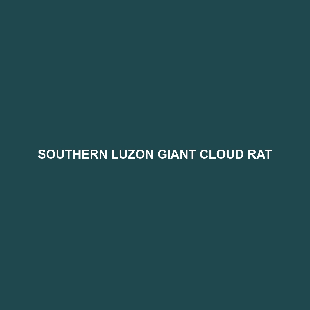 Southern Luzon Giant Cloud Rat