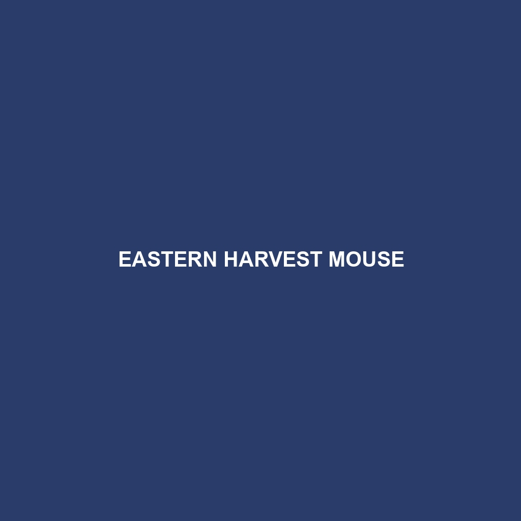 Eastern Harvest Mouse