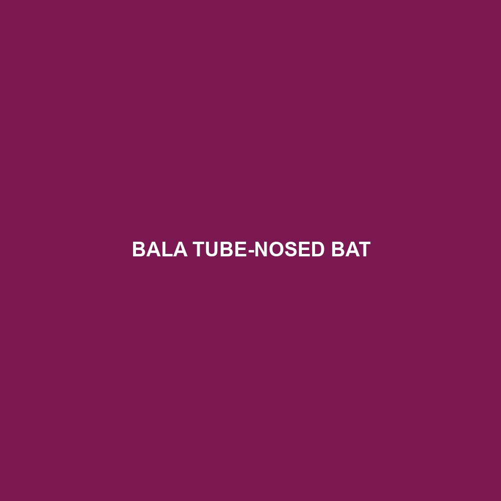 Bala Tube-nosed Bat