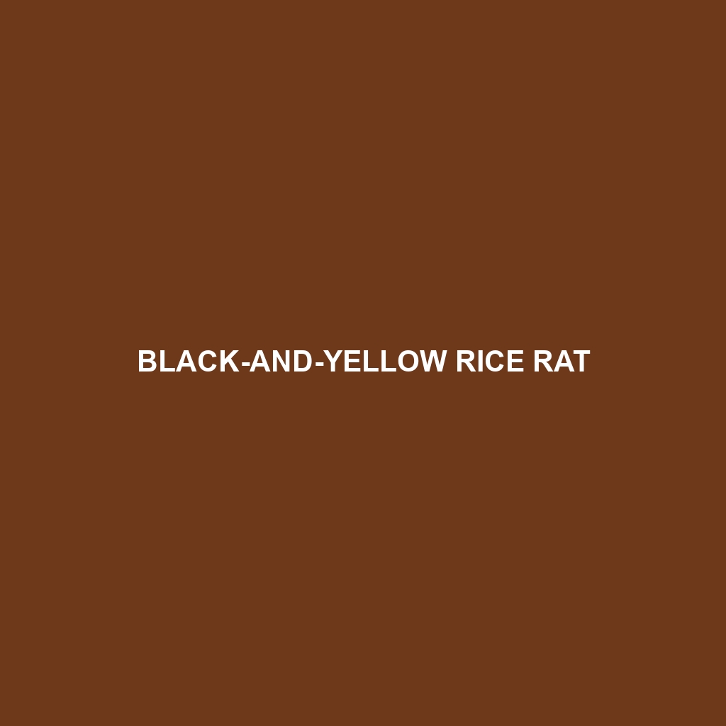 Colombian Rice Rat