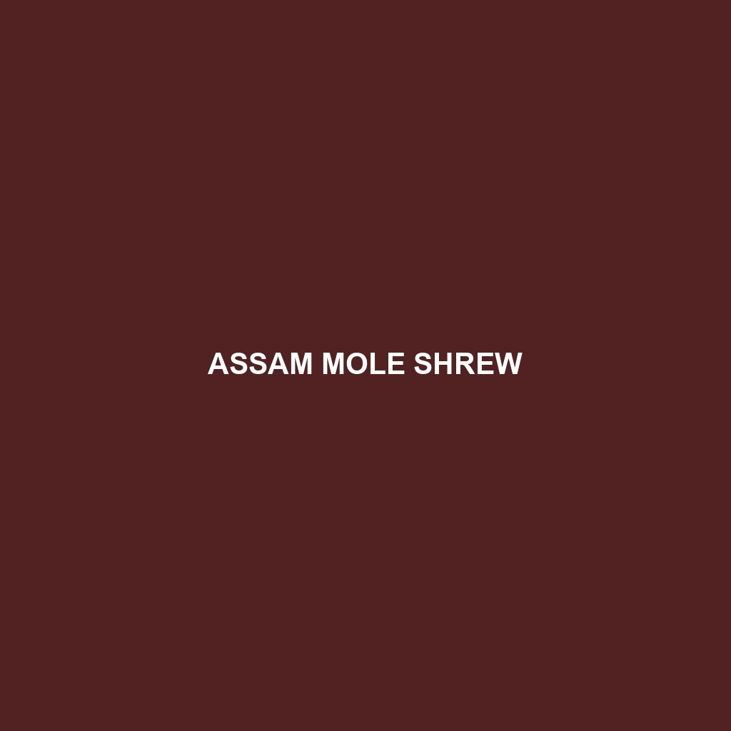 Assam Mole Shrew