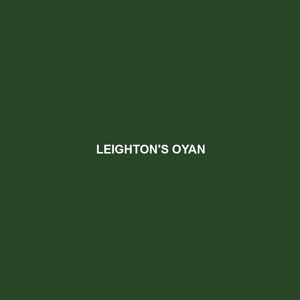 Leighton's Oyan