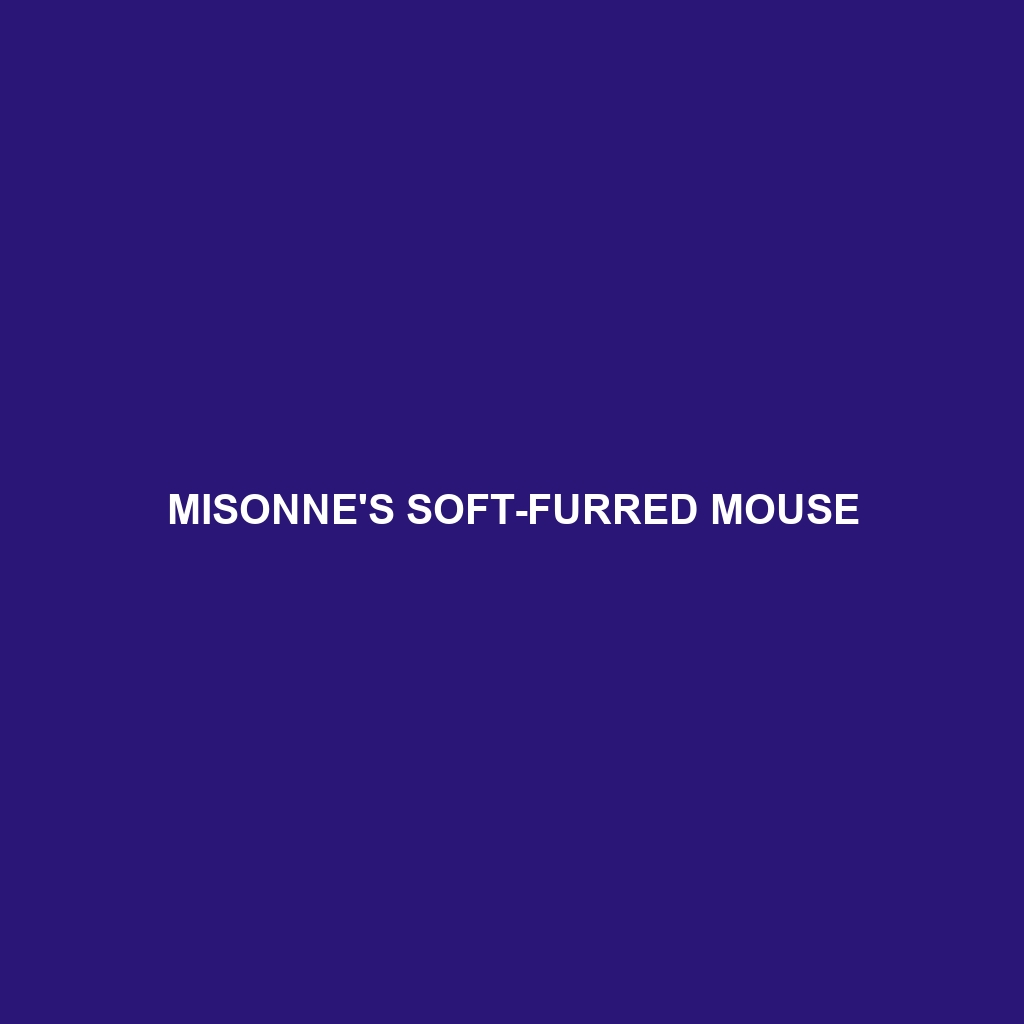 Misonne's Soft-furred Mouse