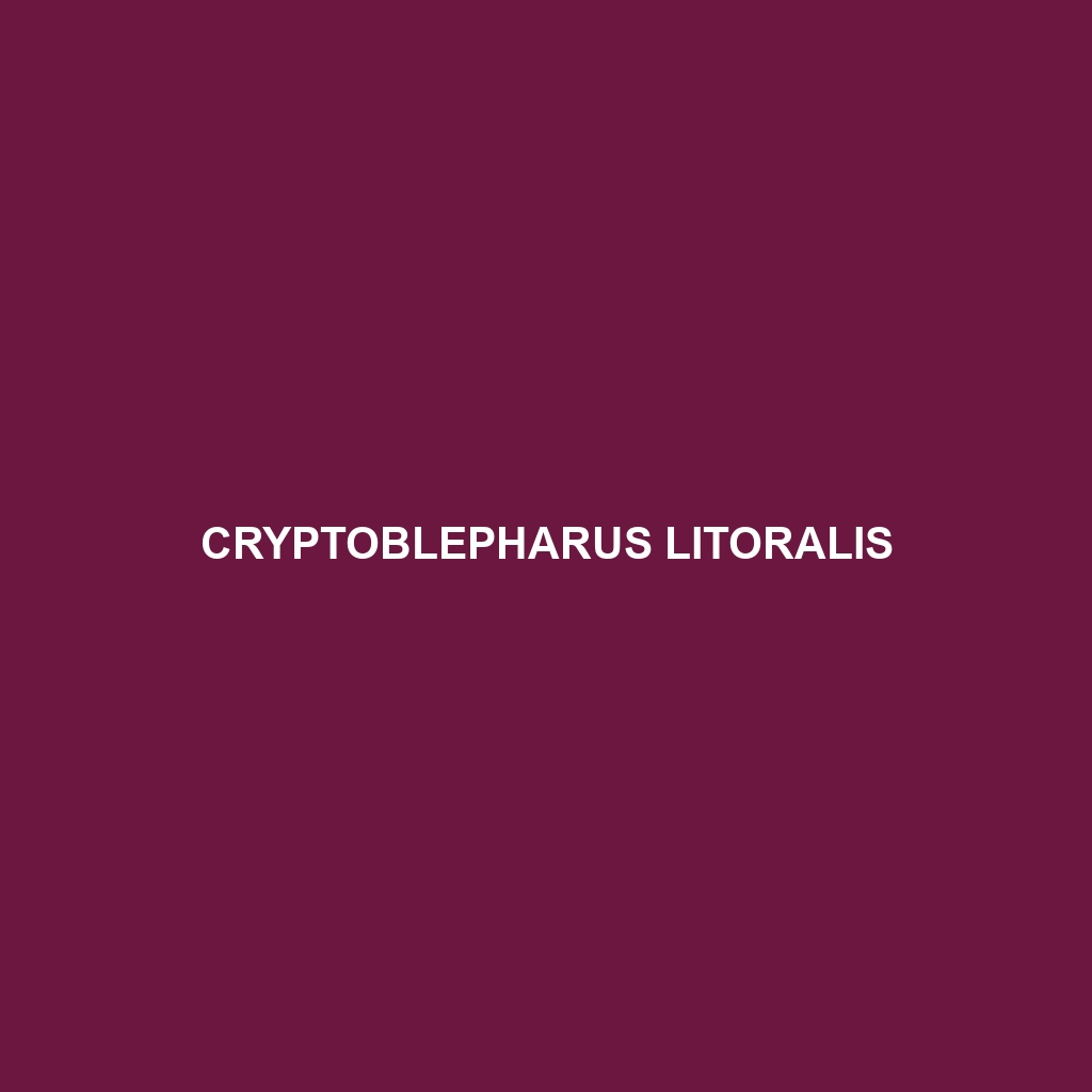 Cryptoblepharus litoralis