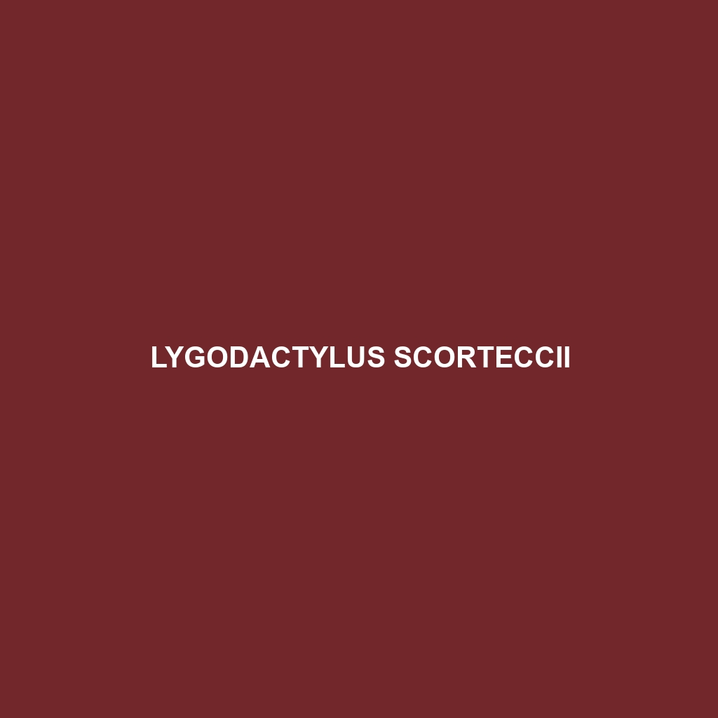 Lygodactylus scorteccii